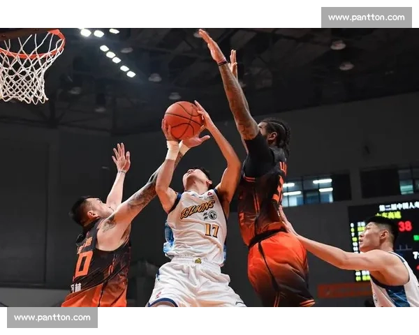 2026篮球赛事最新排行揭晓 各大联赛与球员表现一览